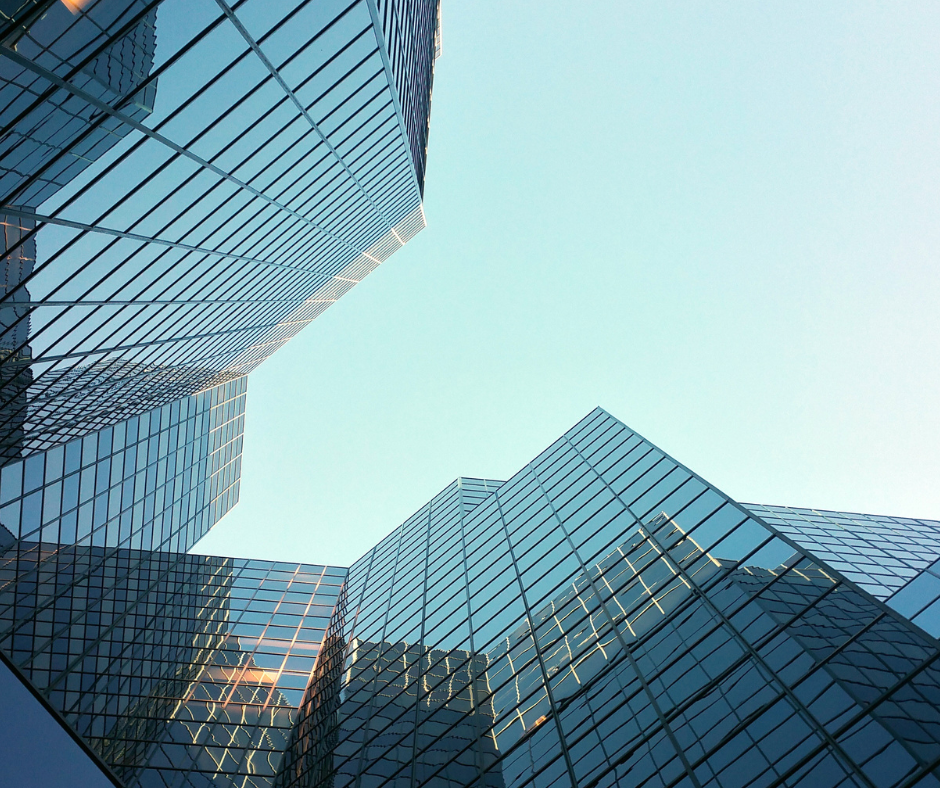 Employment lawyer reviewing workplace policy updates for 2025 employment law changes in Australia