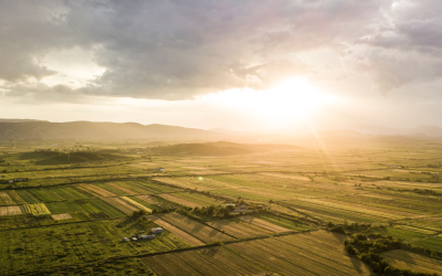 NSW Land Tax 2025: Understanding Your Obligations in New South Wales