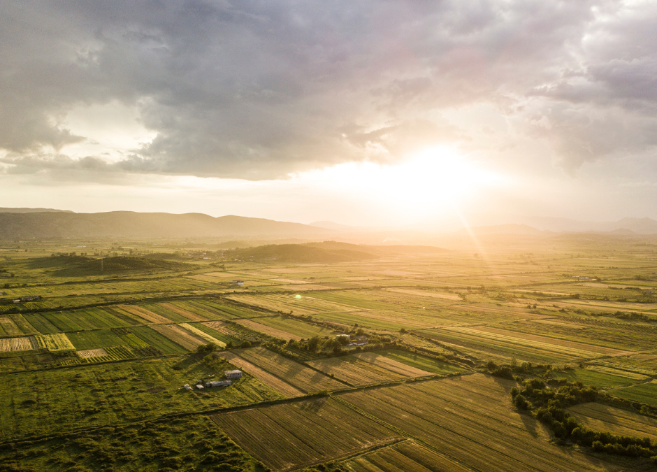 NSW Land Tax 2025: Understanding Your Obligations in New South Wales