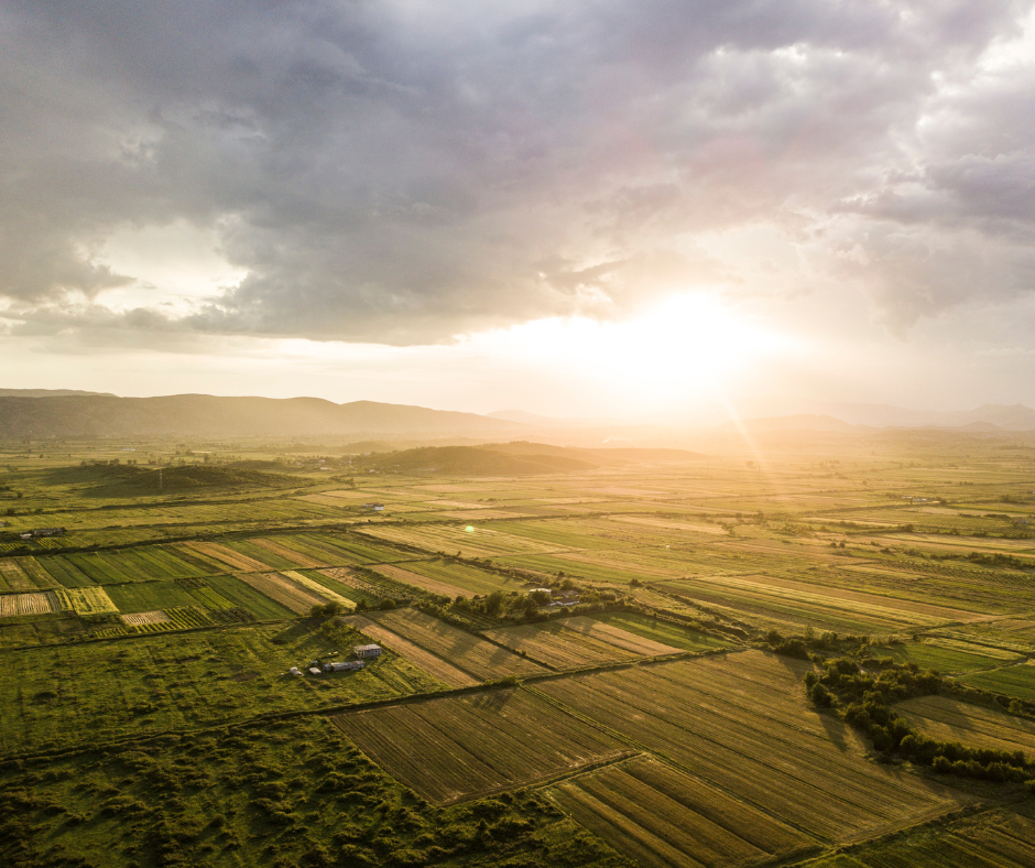 Infographic showing NSW Land Tax 2025 thresholds, exemptions, and payment process for property owners"